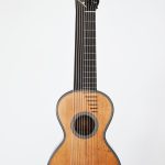Guitar decacorde